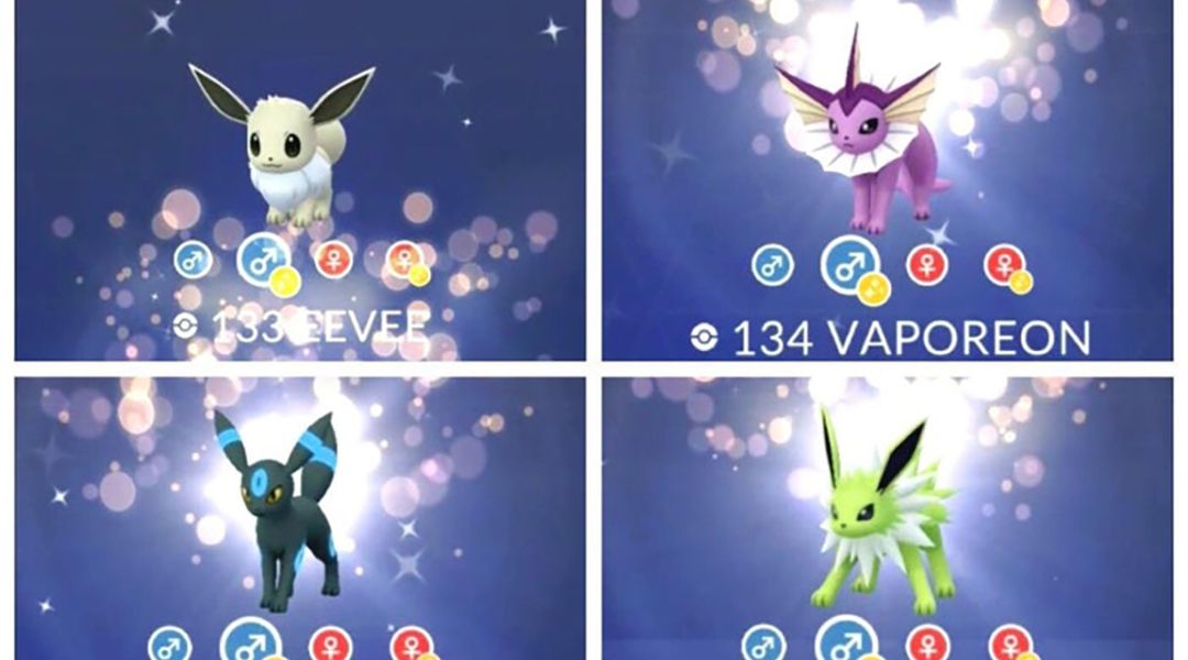 shiny eevee  Shiny eevee, Eevee, Pokemon