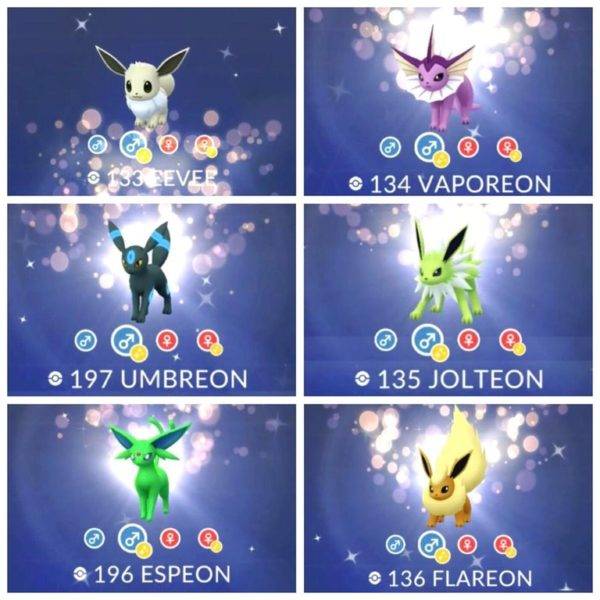 Pokemon Go When And How To Evolve Your Shiny Eevee Pokemon Go When And How To Evolve Your Shiny Eevee