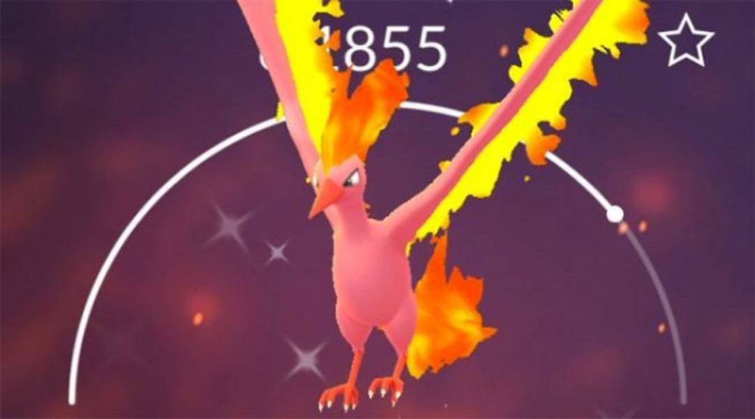 pokemon go shiny moltres
