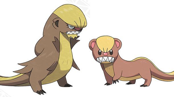 Pokémon Sun and Moon: Is Yungoos Based on Donald Trump? - Gumshoos and Yungoos