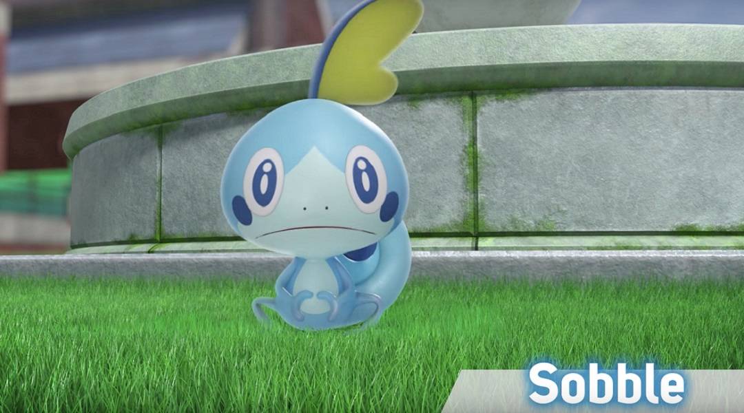 pokemon sword and shield sobble