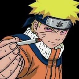 User Display Picture