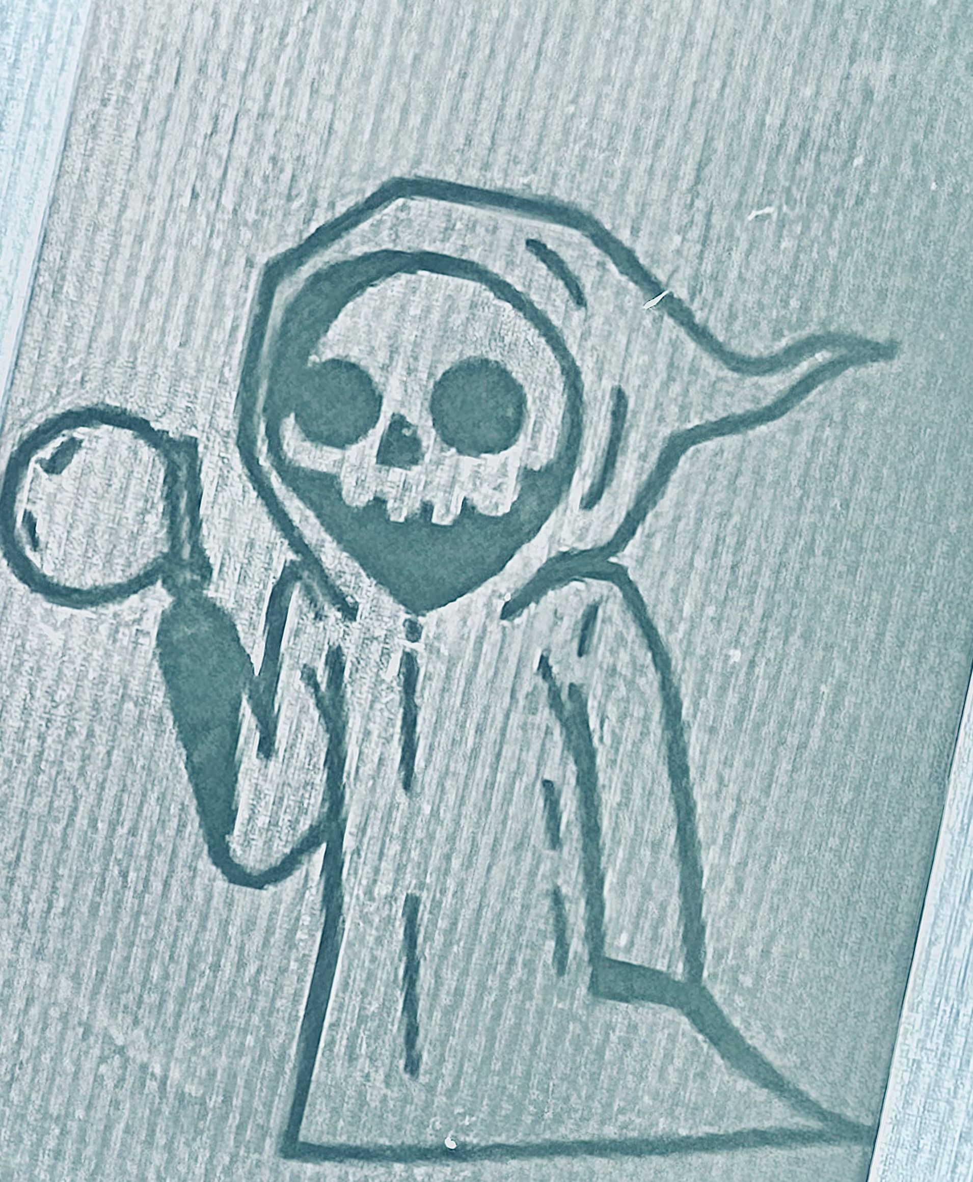 User Display Picture