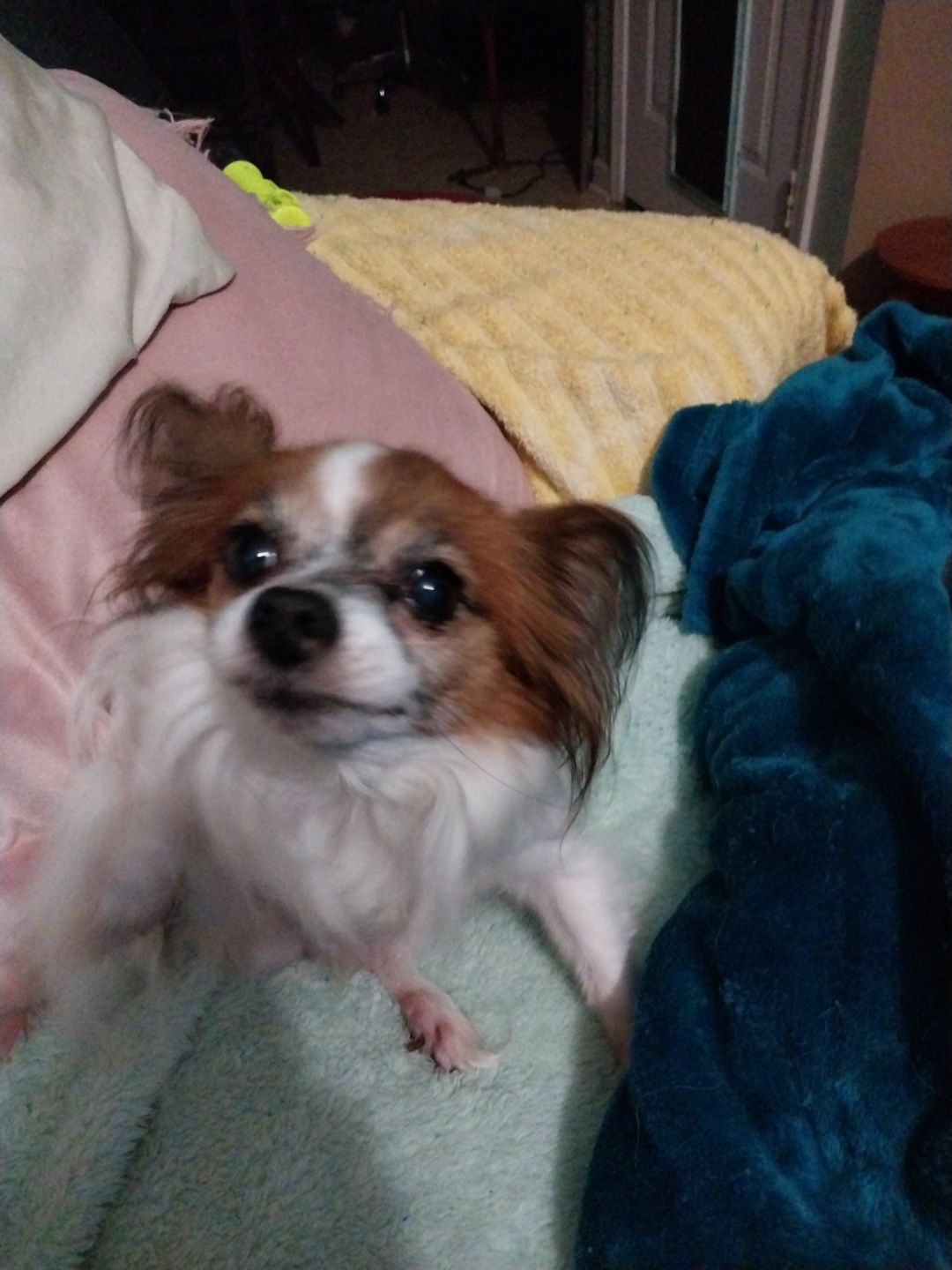 User Display Picture