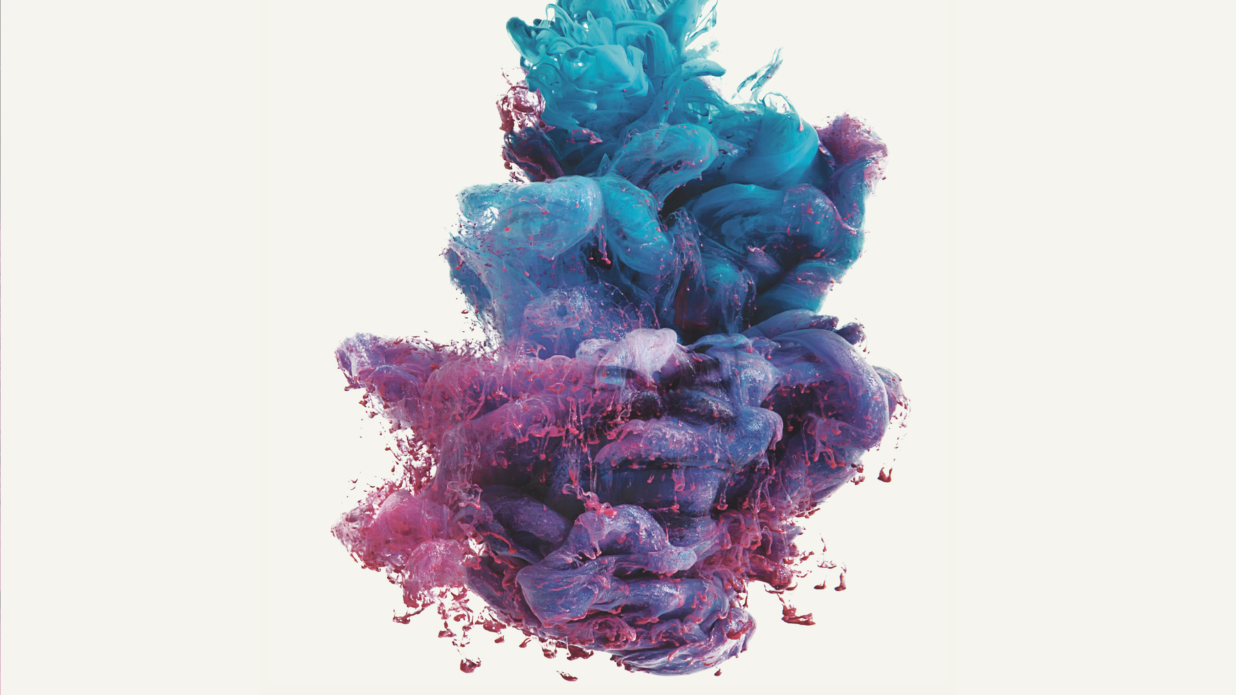 User Display Picture