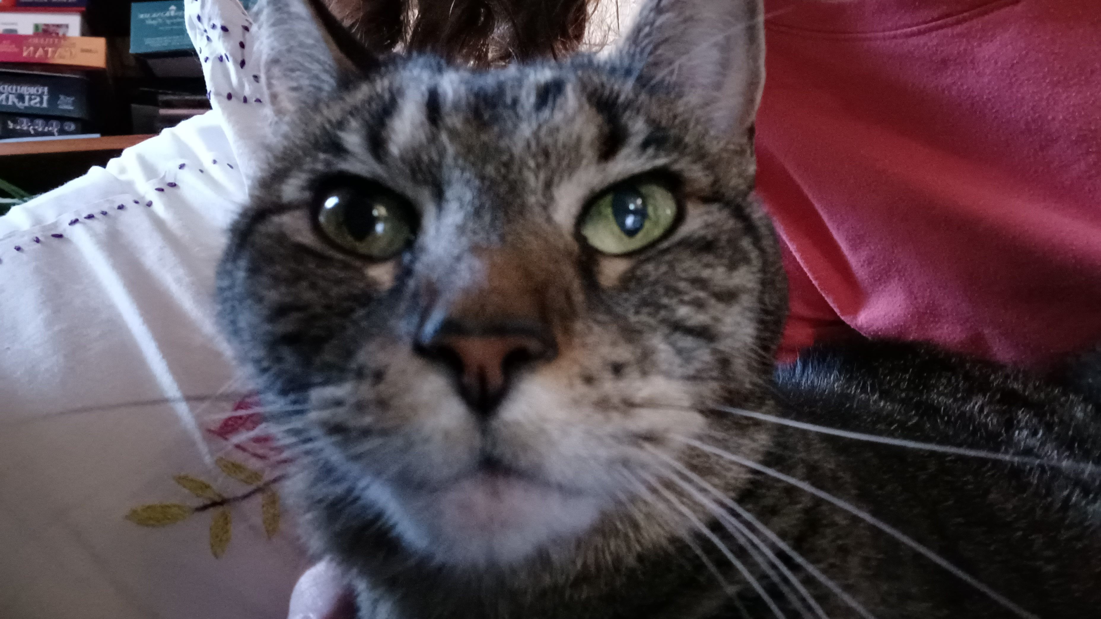 User Display Picture