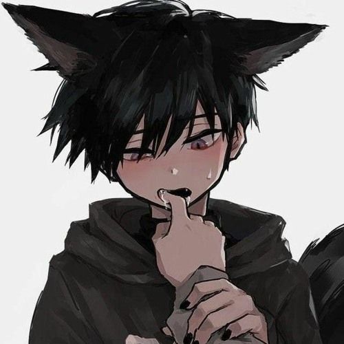 User Display Picture