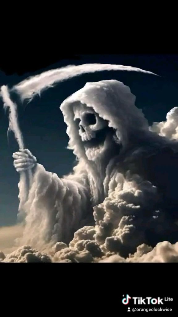 User Display Picture