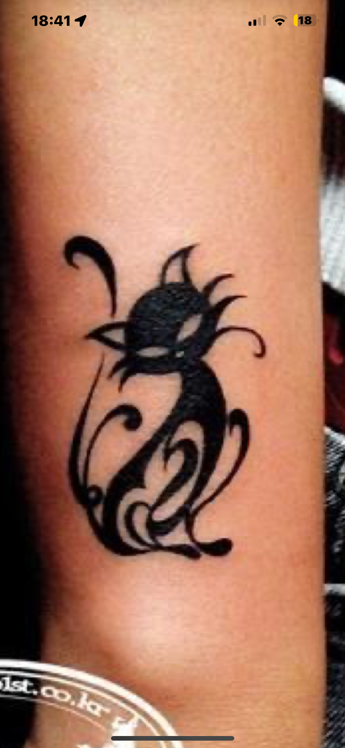 User Display Picture