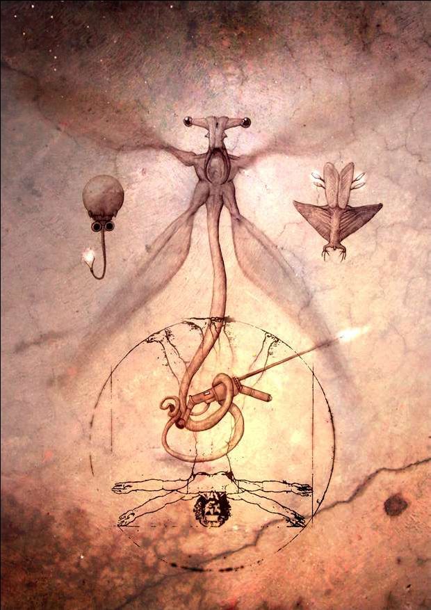 User Display Picture