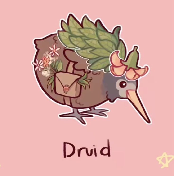 User Display Picture