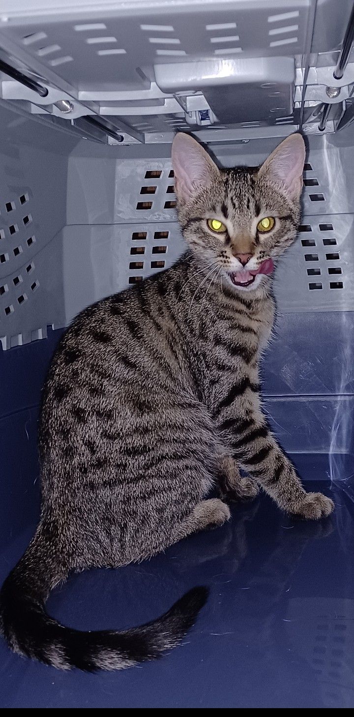 User Display Picture