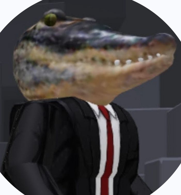 User Display Picture