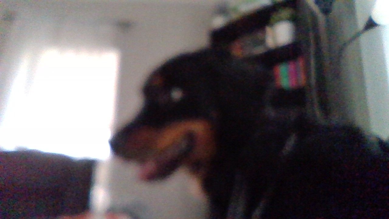 User Display Picture