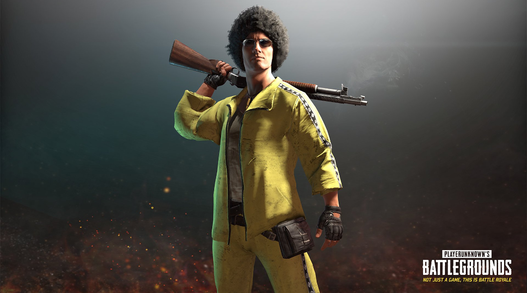 One of PUBG's battle royale skins