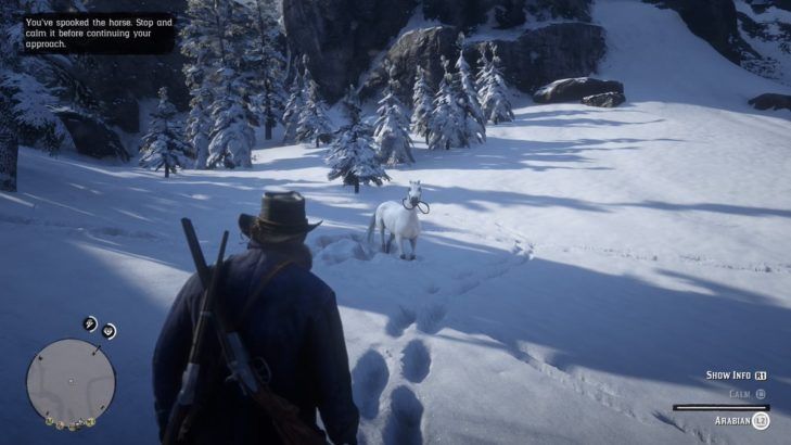 red-dead-redemption-2-best-horse-guide-calm