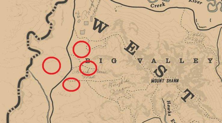 Red Dead Online How To Solve The Blackbone Forest Treasure Map