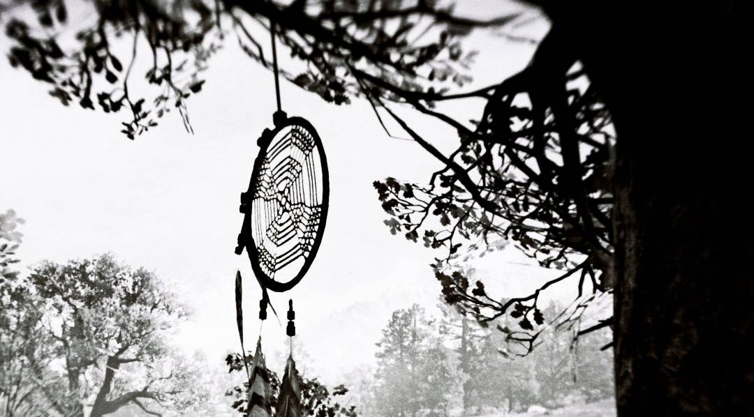 red dead redemption 2 dreamcatcher