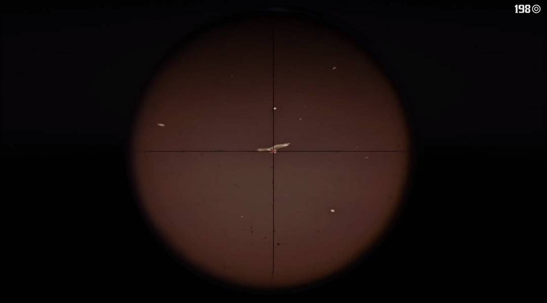 red dead redemption 2 where to find owls