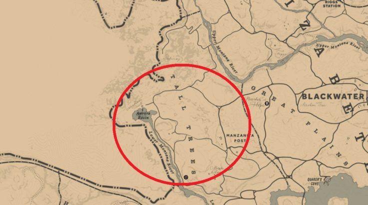 red dead redemption 2 tall trees owl location