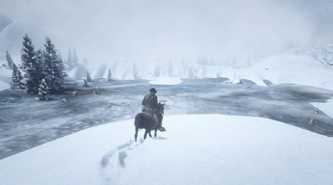 red dead redemption 2 snow area glitch