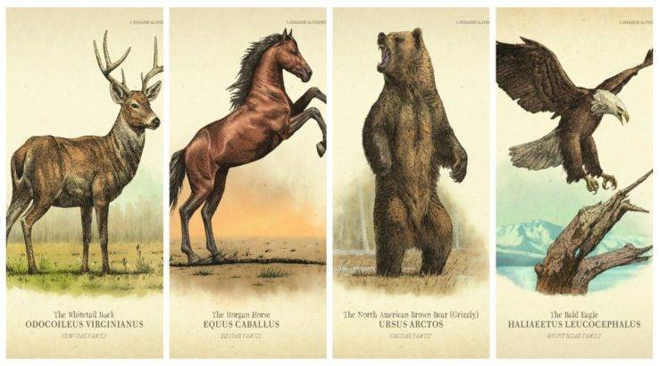 Red Dead Animals Ranges Red Dead Redemption 2: What Are Legendary Animals?