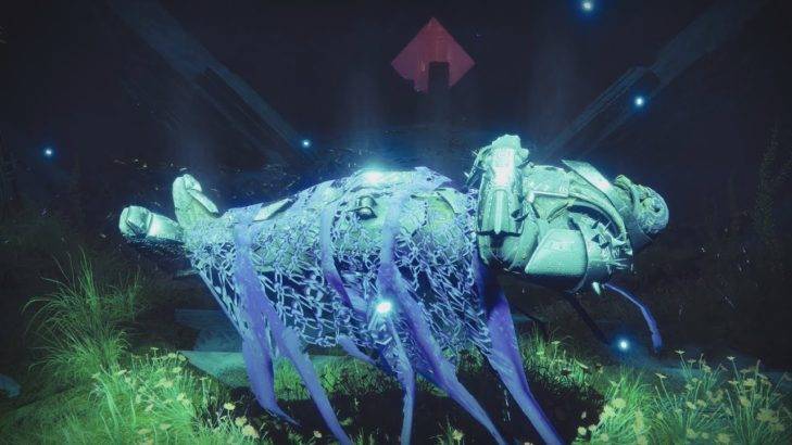 destiny 2 saint 14 curse of osiris