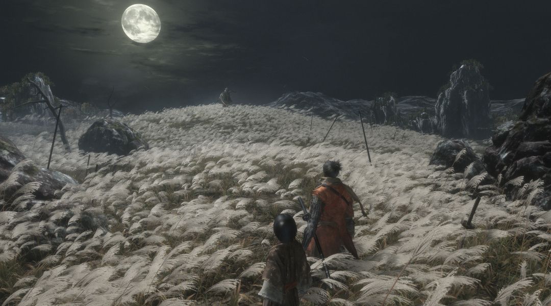 sekiro what carries over to ng+