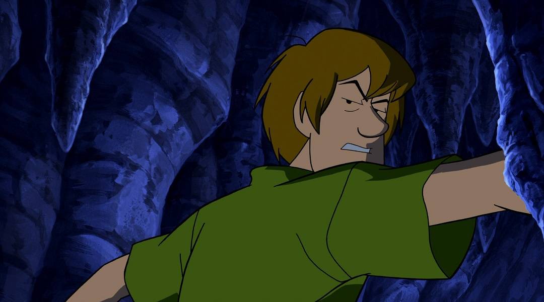 shaggy rogers scooby doo