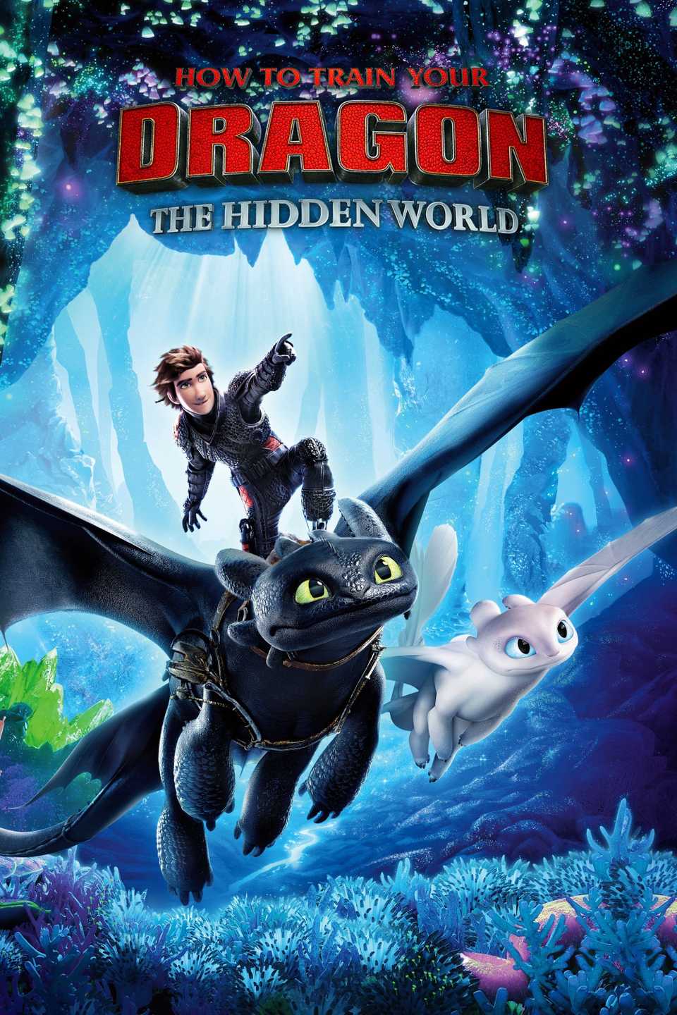 How to Train Your Dragon The Hidden World Poster