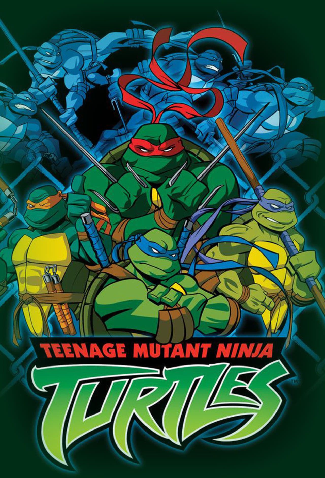 teenage-mutant-ninja-turtles-2003.jpg