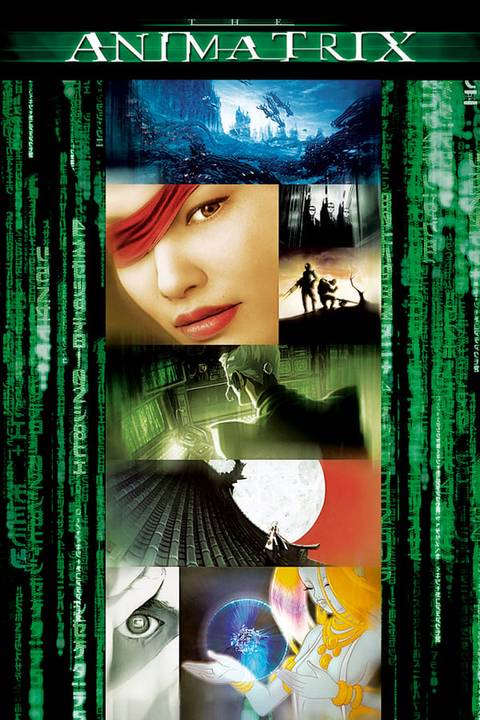 the-animatrix-official-poster.jpg
