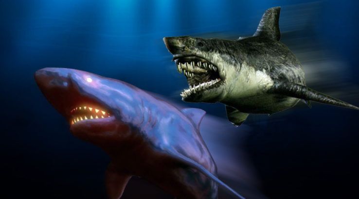 Gaming's Top 10 Sharks - Cyber-shark and NEptune