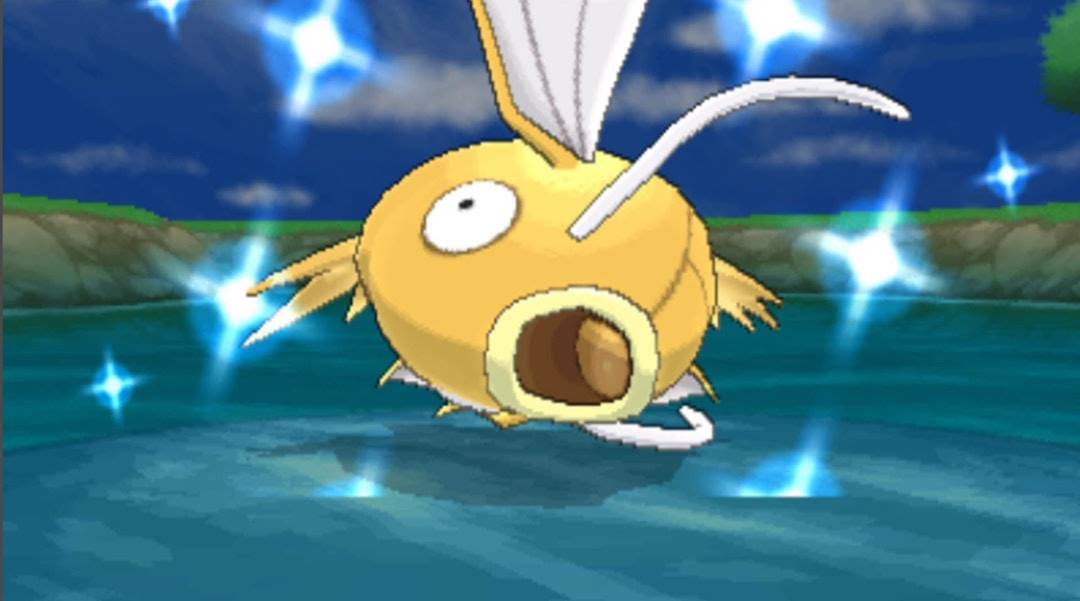 Shiny Magikarp Pokemon Shield