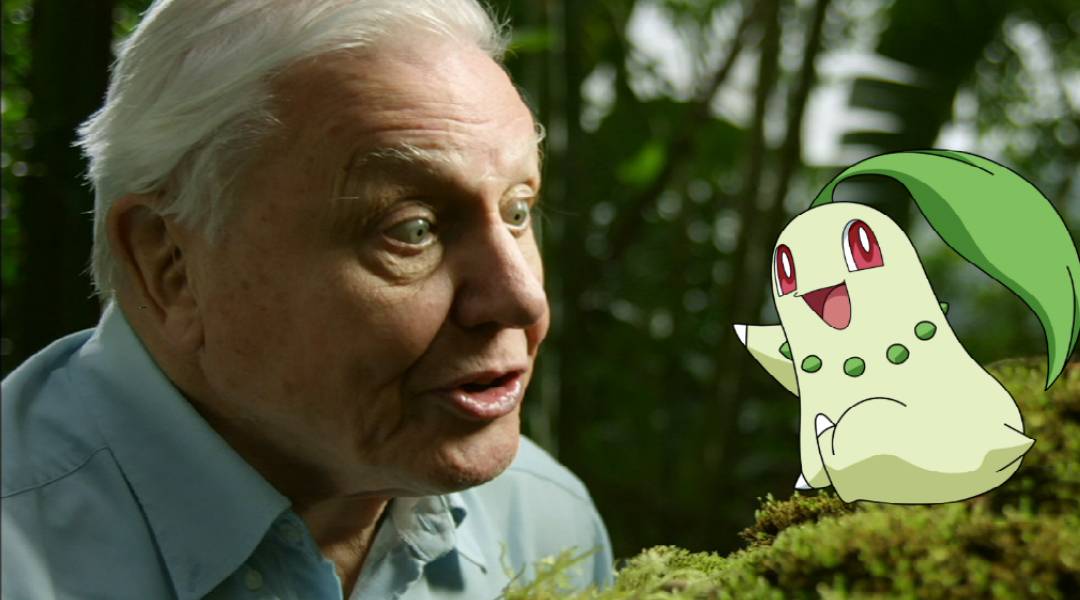 sir david attenborough narrates pokemon go