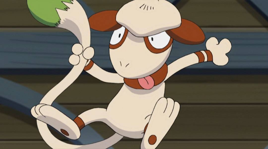 smeargle pokemon anime