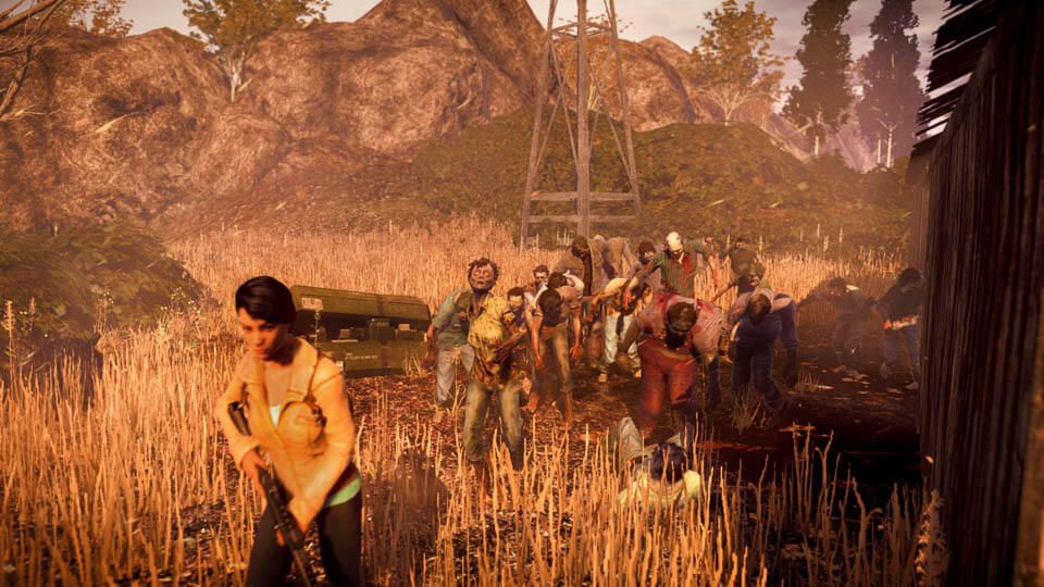 State of Decay Zombies