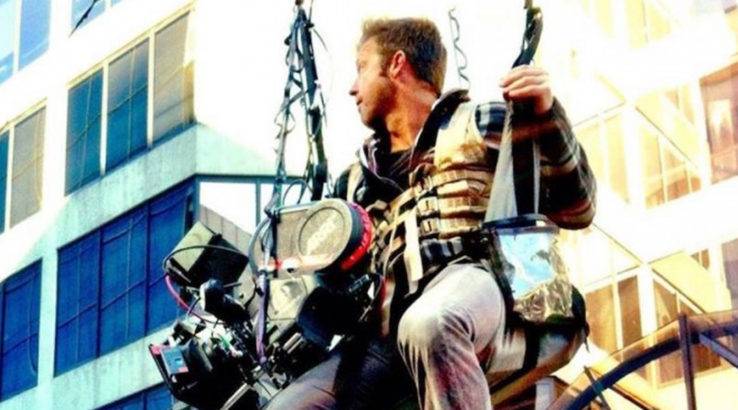 The Division Director