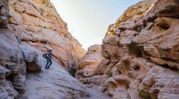 the elder scrolls 6 will scan in real world people and environments