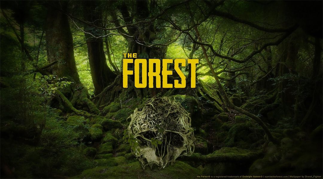 THE FOREST Is Heading To The PS4 In November — GameTyrant