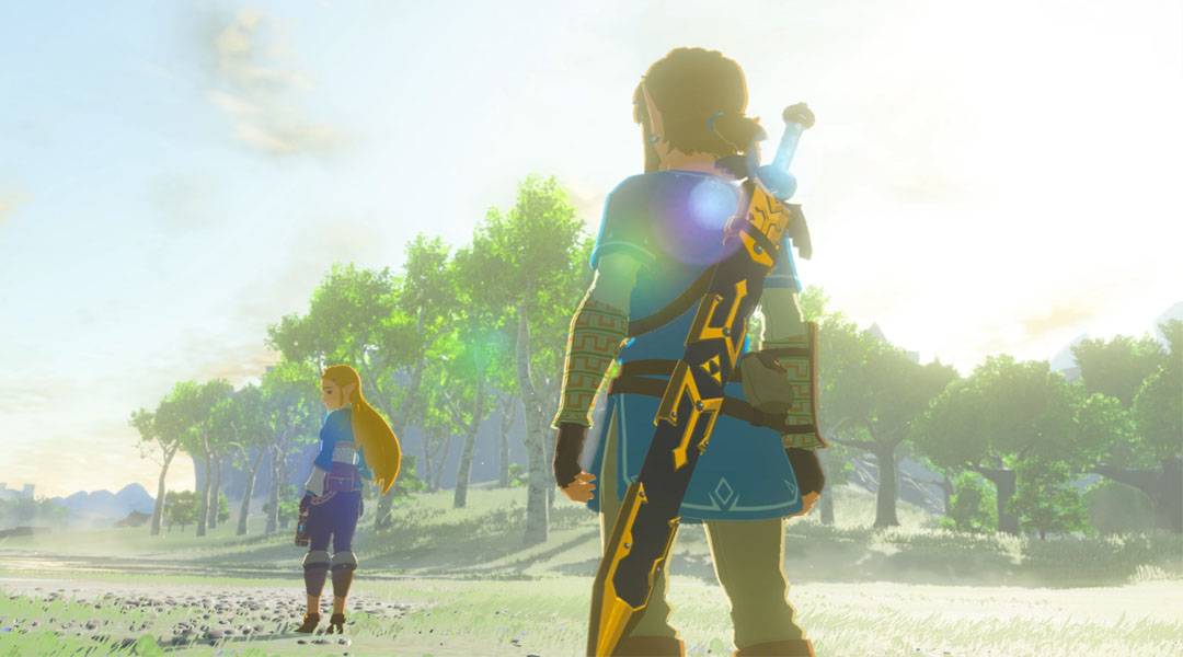 the legend of zelda breath of the wild multiplayer