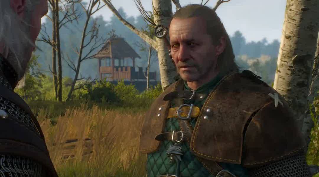 the witcher vesemir
