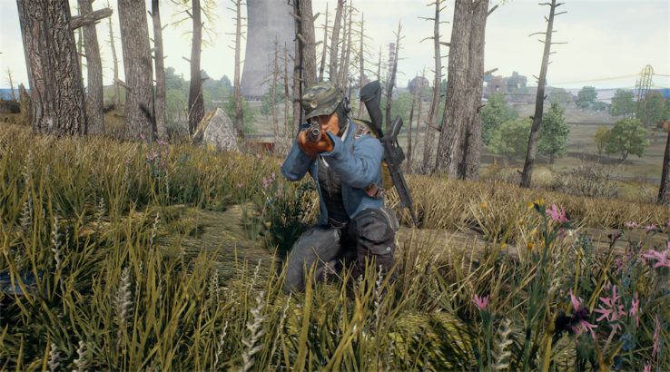 PlayerUnknowns Battlegrounds Ditches Patch Schedule Over Quality Concerns