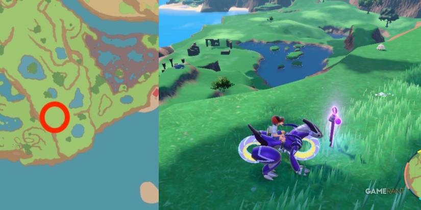 pokemon scarlet violet purple stake 4 location