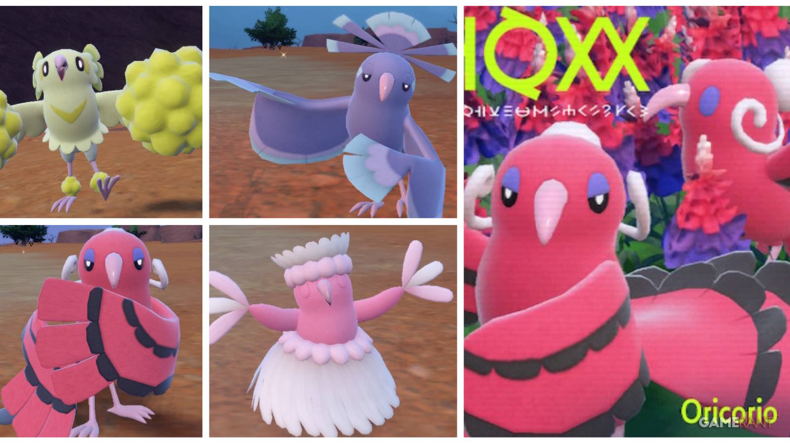 pokemon scarlet violet oricorio feature