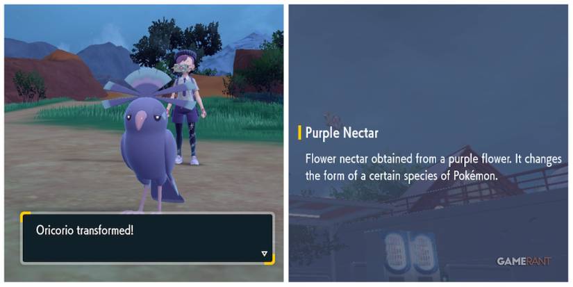 pokemon scarlet violet oricorio sensu style