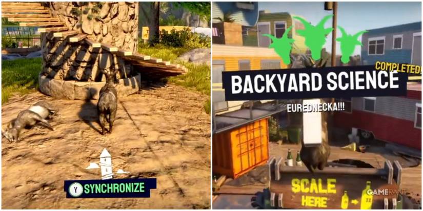 Goat Simulator 3 Earning Karma Points