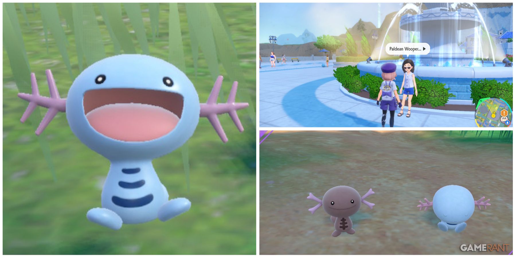 Pokemon GO: Shiny Wooper, Shiny Quagsire, Shiny Paldean Wooper and Shiny  Clodsire guide