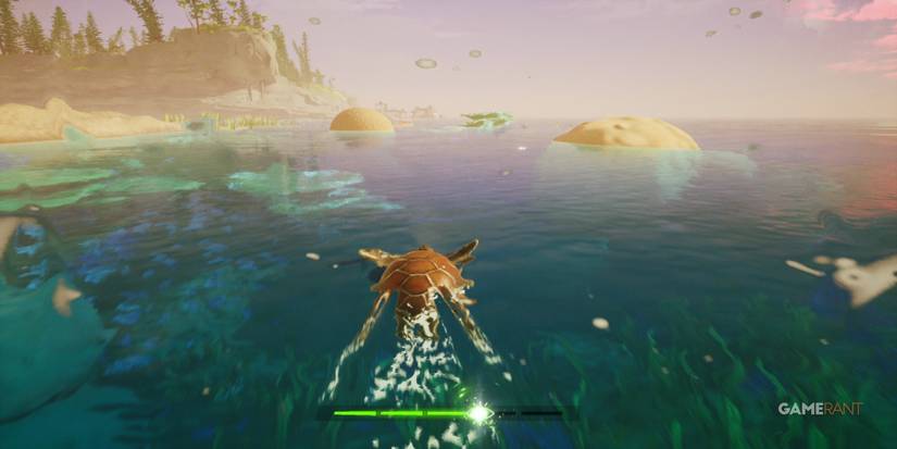 tchia pc preview turle out of water