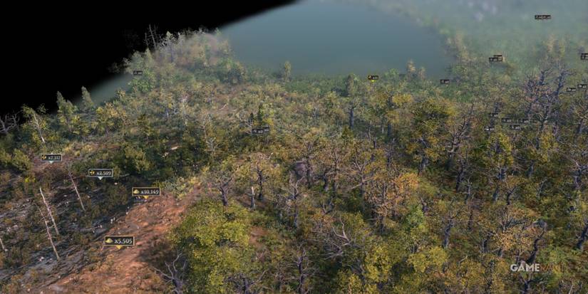 Farthest Frontier Seed 304050607FF Map